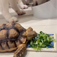 モグモグ…♪