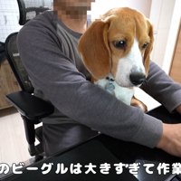 お膝の上にお座り♪