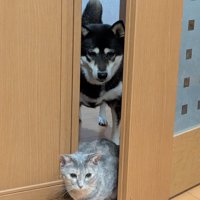 仲良し