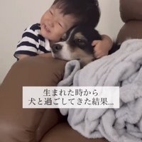 犬に顔を寄せて笑顔を見せる子ども