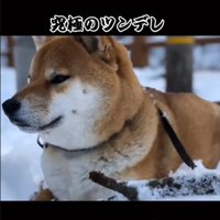 ツンデレな一面も…♡