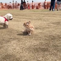 何も言い返しません