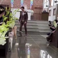 ゴールに辿り着いても…