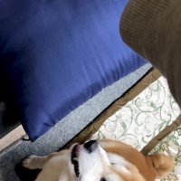 食パンに嫉妬心を剥き出しに！