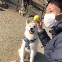 パパとボール遊び♪