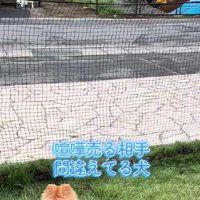 喧嘩相手はショベルカー！！