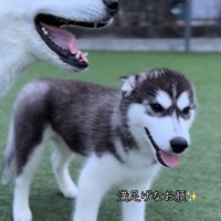 満足そうにニコニコ