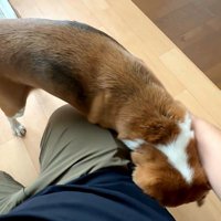 やはり寂しかったようです♡