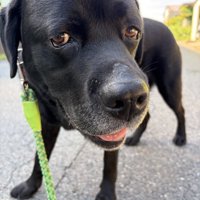 ニコッ