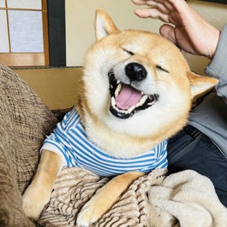 まめ助画像