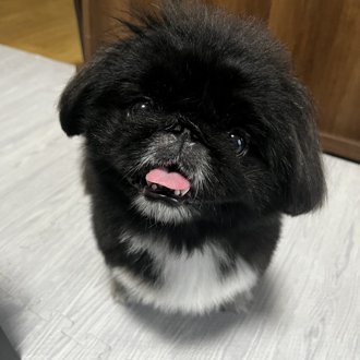 まめ画像