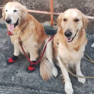 ゆのみ＆コルクー画像