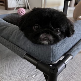 まめ画像