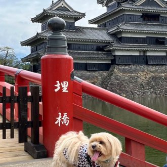 ちゃお画像