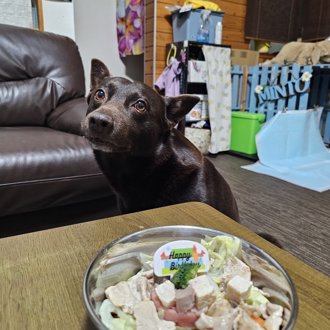ミント画像
