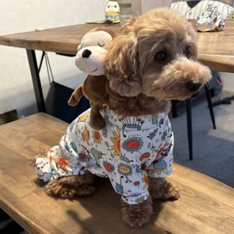 ポポ画像