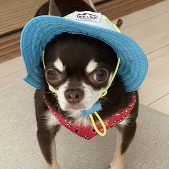 太郎画像