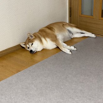 ふく画像