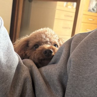 ココ　レオ画像