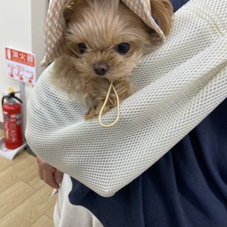 もなか画像