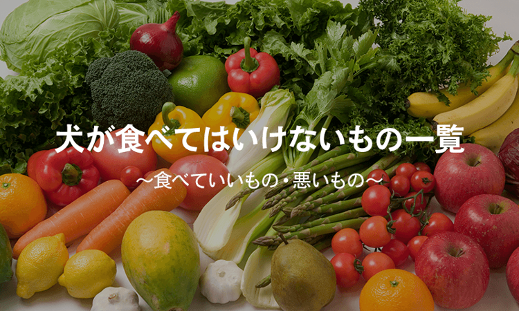 犬が食べてはいけないもの一覧