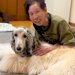 おばあちゃんの家に訪れた大型犬→『帰るよ』と伝えると…まさかの『人間の子どものような行動』が36万再生「素敵」「気持ちわかる」と反響
