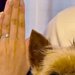 結婚報告のため実家にきた息子夫婦→記念に『犬と一緒に写真を撮った』結果…もはや主役な『表情』に2万いいね「ドヤってて草」「嬉しいんだね」
