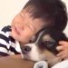 男の子が小さな時から『大型犬と育った』結果→5歳になった現在も…『愛してるよ』あまりにも尊い記録が18万再生「幸せそう」「愛が溢れてる」
