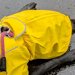 雨ガッパを着て散歩に出かけた大型犬→濡れないと思ったら…悲劇的すぎる『まさかの行動』に3万いいね「やめてーー」「あーあって声出たｗ」