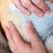 人間の赤ちゃんと同じように、犬を『抱っこでトントン』した結果→顔を見ると…『まさかの表情』に5万いいね「なんて安らかｗ」「たまらない」