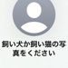 スマホで知らない人から『犬か猫の写真ください』のメッセージ→試しに愛犬を送ってみたら…『驚きの展開』が289万再生「素敵」「平和で好き」