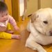 赤ちゃんが『大型犬のくしゃみを見た』結果→心配しながら近付いて…まるで『お話しているような光景』が75万再生「通じ合ってる」「平和すぎ」