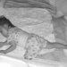 夜、赤ちゃんを寝かしつけた結果→眠っている様子をカメラで確認すると、犬が…『まさかの光景』が15万再生「最高に可愛い」「寝姿も一緒」