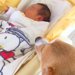 赤ちゃんが『犬と一緒に育てられた』結果→4年後には…幸せに溢れている『尊い成長記録』が21万再生「本当に優しいね」「なんか顔も似てる」