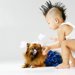 犬のおむつの簡単手作り方法と活用法