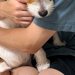 お父さんの腕の中で『怖い』と怯える犬→想定外だった『まさかの理由』と『数十秒後の姿』に2万いいね「確かに怖いかもｗ」「可愛すぎる」と絶賛