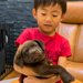 子犬を抱っこできないほど小さかった男の子→一緒に育ち、11歳の誕生日を迎えた結果…尊すぎる『成長記録』に絶賛「最高の相棒」「素敵な兄弟」