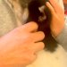 『犬を飼うのだけはダメ』と大反対していた父→保護犬を抱っこした瞬間に…『素敵すぎる展開』が14万再生「マジで尊い」「いい父ちゃん」と感動