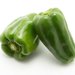 犬がピーマンを食べても大丈夫！与え方や健康効果、注意点・レシピ