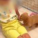 赤ちゃん犬を飼って1週間後→『4歳の息子』に懐きすぎてしまい…反則級な『尊すぎるやり取り』が27万再生「大好きなんだね」「癒される…」