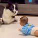 赤ちゃんが突然『奇声』を上げた結果→近くにいた犬が…お笑い芸人のような『100点満点の光景』が224万再生「大げさで草」「めちゃ笑った」