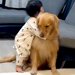 大型犬がいる家庭に『男の子が生まれた』結果→まるで『本当のお兄ちゃん』のように…尊すぎる『お世話』が154万再生「優しいね」「泣きそう」