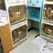 ７年半もの間『外に出たことがない繁殖犬』を保護した結果…５年後→思わず涙する『嘘のような光景』に反響「感動して泣いた」「ほんといい笑顔」