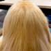 『美しい金髪のサラサラヘアー』と思いきや…人間にしか見えない『まさかの正体』が34万再生「シャンプーのCMで草」「毛並み最高ｗ」と爆笑
