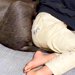 『やけに男の子と犬が静かだな』と思い、様子を見に行った結果→ふたりともソファにいて…尊すぎる光景が19万再生「もう兄弟」「手がたまらん」