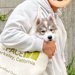 生後2ヶ月の子犬と写真撮影→1年後、同じ場所で同じように撮ってみたら…あまりにデカい『衝撃の一枚』に9万いいね「恐るべしｗ」「バグで草」