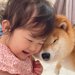 『大嫌いな爪切り』で泣き叫ぶ犬→1歳の女の子が駆け付けて…あまりにも愛おしい応援が37万再生「優しすぎ」「気付いたらニコニコしてた」