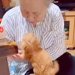 家にきて6日目の赤ちゃん犬→おばあちゃんに『あそぼ！』と甘えて…本当の孫のような『尊い光景』が34万再生「反則なコンビ」「微笑ましい」