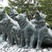 【獣医師監修】樺太犬ってどんな犬種？特徴と性格や飼い方・価格相場まで解説