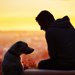 人と犬とのセカンドチャンス! 刑務所で行われている画期的なプロジェクト